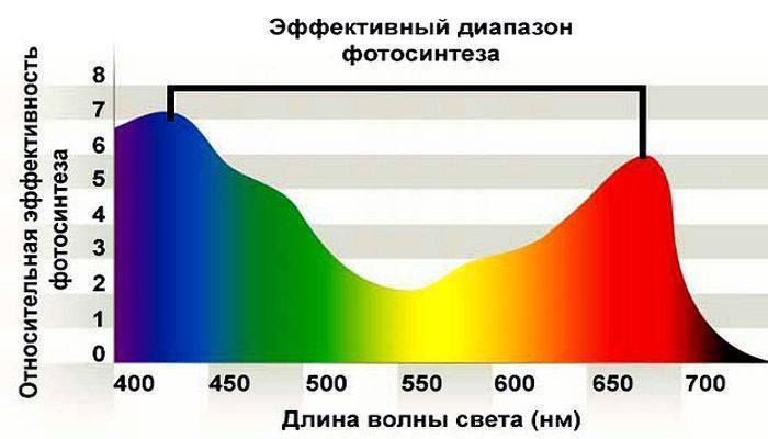 Какой свет нужен