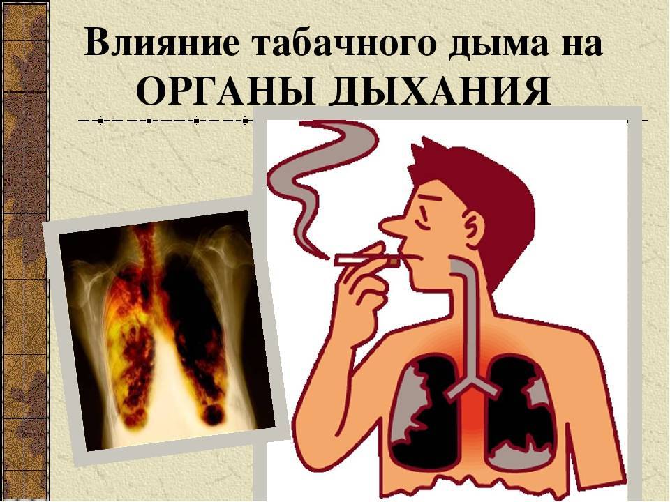 Минеральная вата: пагубное влияние на органы дыхания