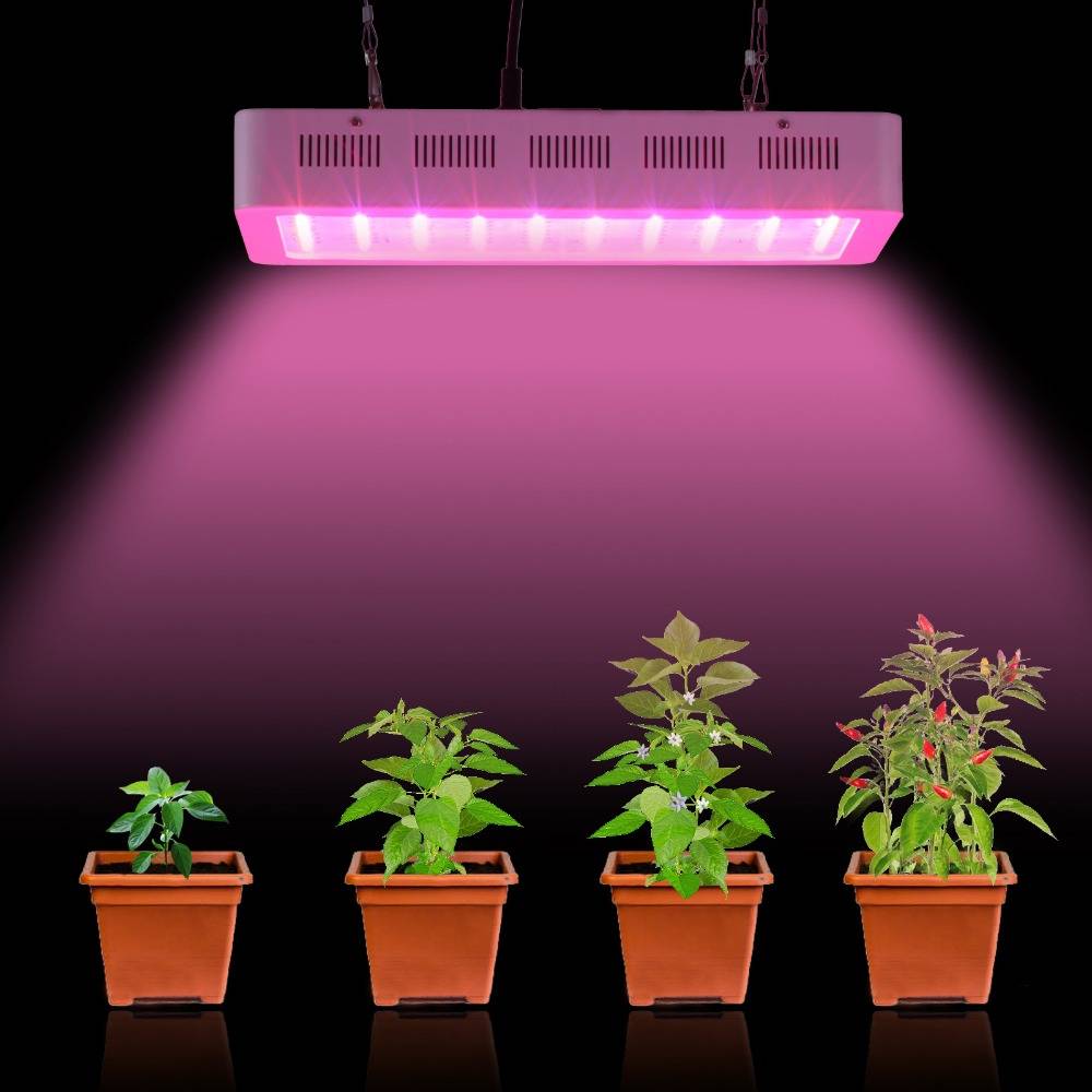Лампы для растений, освещение и подсветка - фото примеров