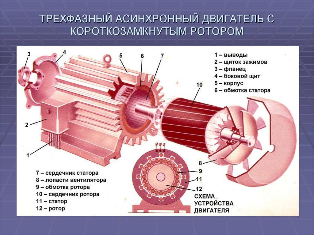 Расчет короткозамкнутого ротора