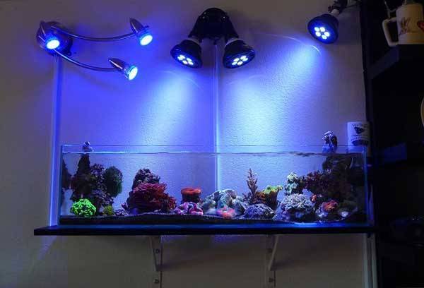 Светодиодный светильник для аквариума выбор и как установить
