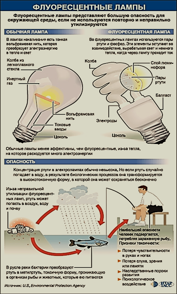 Есть ли ртуть в энергосберегающих лампах, и что они содержат (состав)