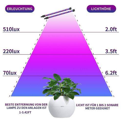 Выбор подходящей лампы дневного света для комнатных растений
