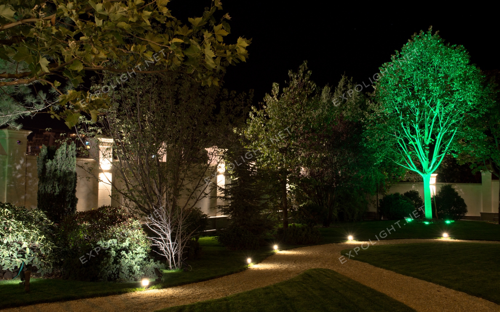 Технологии уличных подсветок. Подсветка деревьев Oasis-Light Humberg. Подсветка деревьев снизу. Подсветка деревьев Спайдер ww. Светодизайн ландшафта.