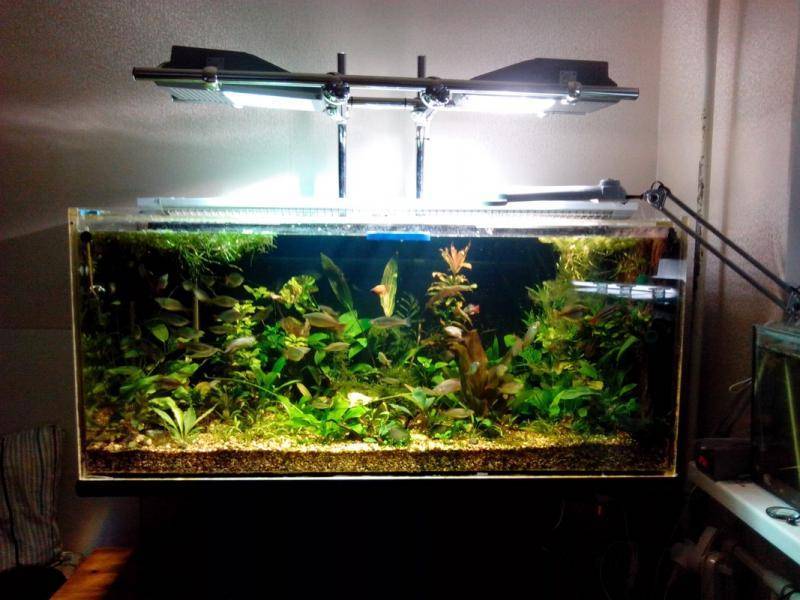 Светодиодная лента для аквариума: какую выбрать, оптимальное для рыб и растений