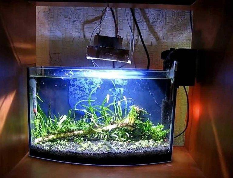 Как выбрать лампу для аквариума и какое освещение лучше?