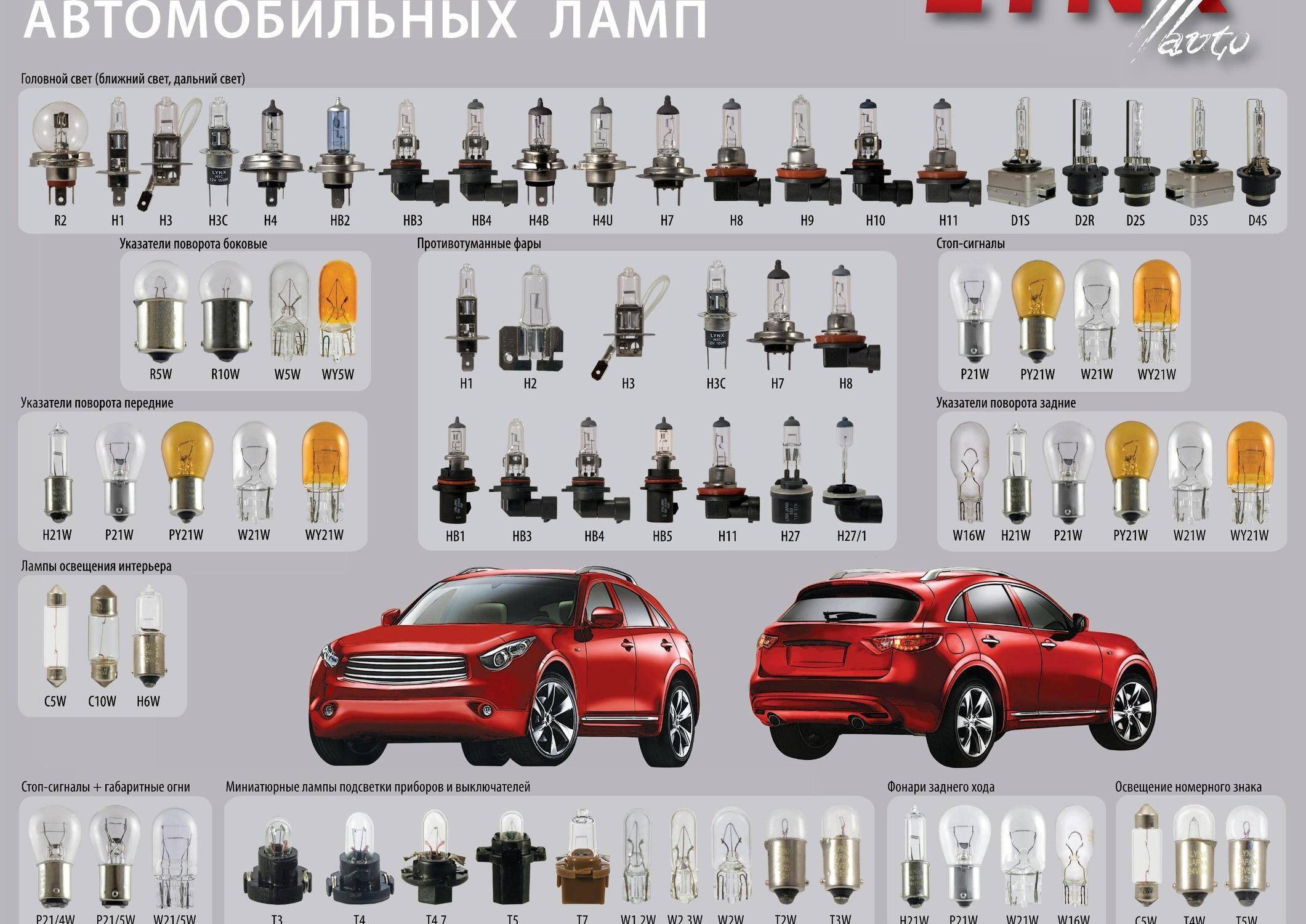 Цоколи и типы автомобильных ламп: как отличить по маркировке?