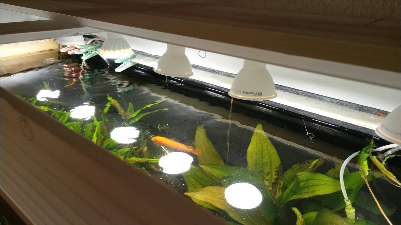 Светодиоды для аквариума, подсветка, как сделать своими руками
