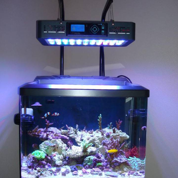 Как сделать led подсветку для аквариума своими руками — ribnydom.ru