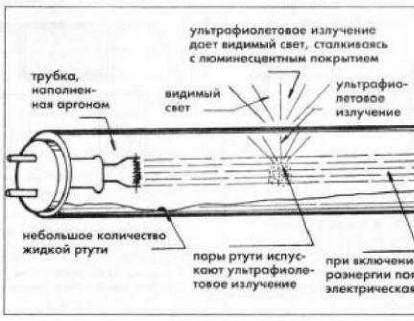 Люминесцентные лампы: виды, устройство, маркировка и принцип действия