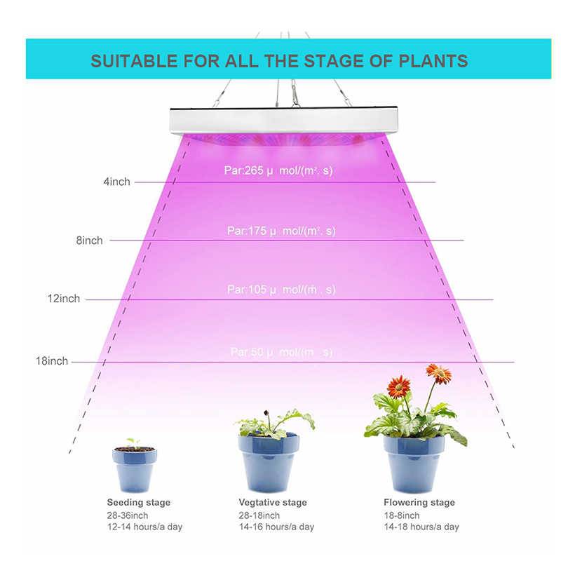 Фитолампы для растений, как правильно выбрать фитолампу и на сколько ее надо включать