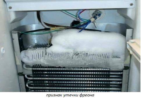 Морозит морозилка холодильника индезит