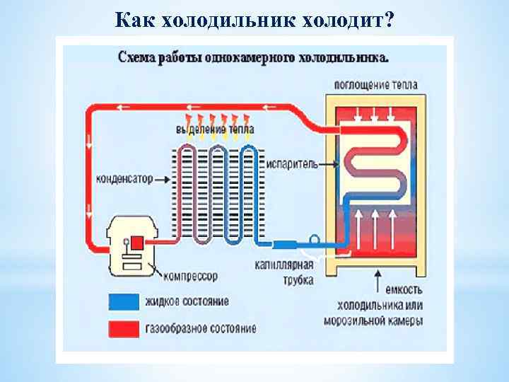 Схема устройства холодильника. Схема холодильного агрегата с испарителем внутри холодильной камеры. Устройство холодильника ноу Фрост схема. Холодильный агрегат бытового абсорбционного холодильника схема.