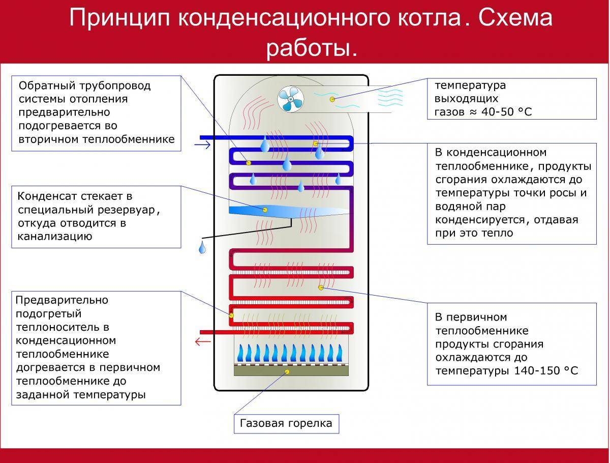 Конденсационный газовый котел: специфика действия, плюсы и минусы + отличие от классических моделей