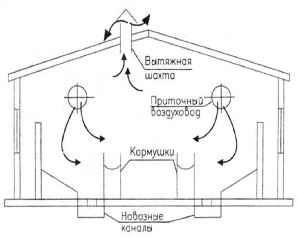 Схема вентиляции в курятнике зимой: как правильно сделать систему своими руками