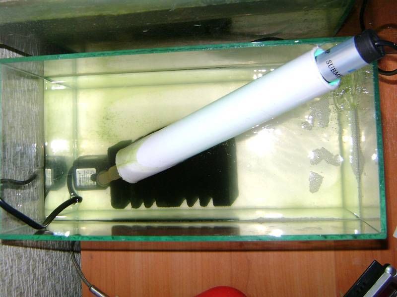 Погружной стерилизатор для аквариума: как работает и зачем нужен?