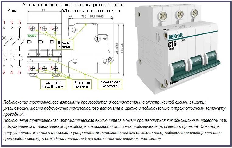 Двухполюсный автоматический выключатель — для чего он используется и чем отличается от однополюсного