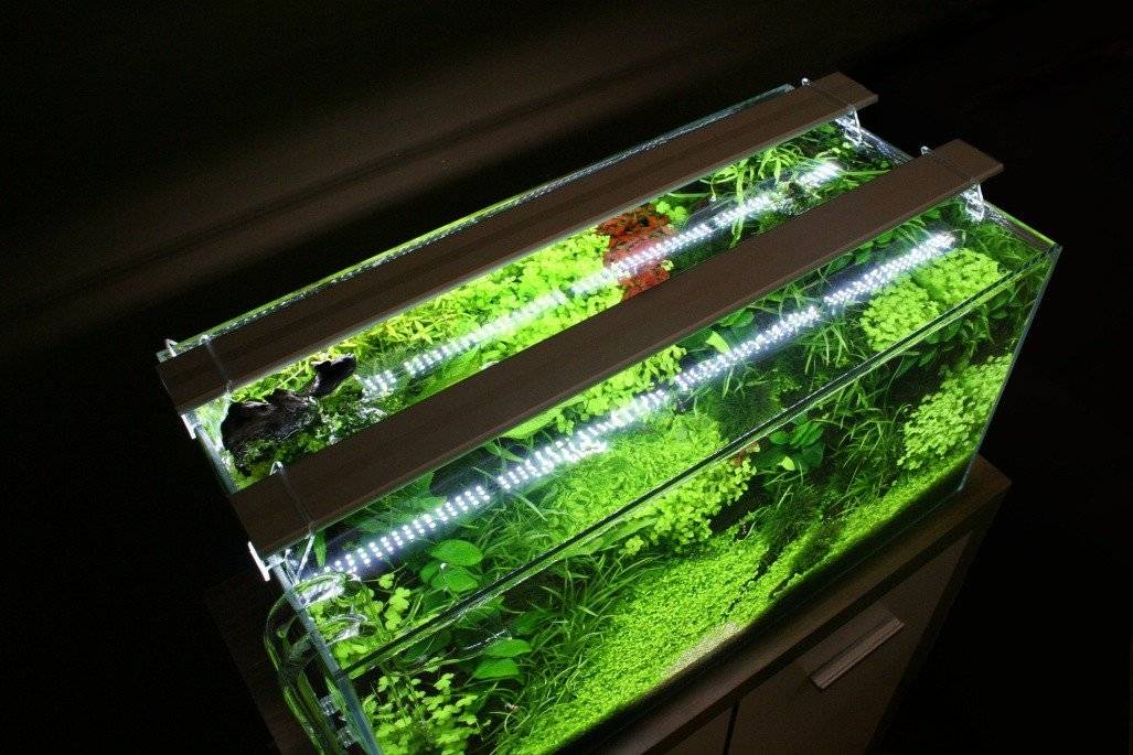 Подсветка для аквариума своими руками из светодиодной ленты