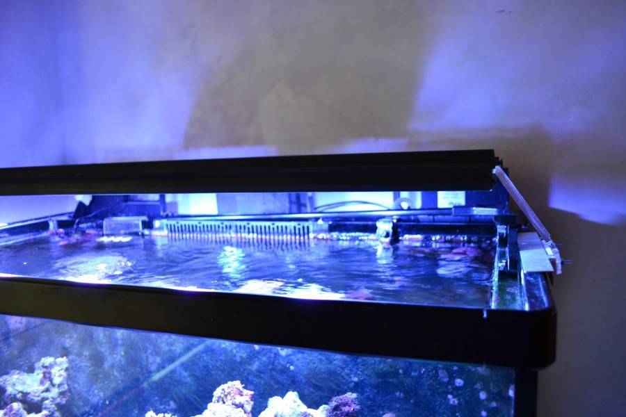 Освещение для аквариума — 3 метода расчета.