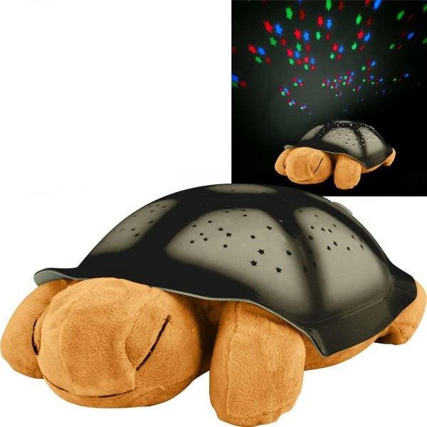 Ночник-черепаха: звездное небо, детские музыкальные, волшебный проектор, морская и другие, особенности светильников, причины востребованности