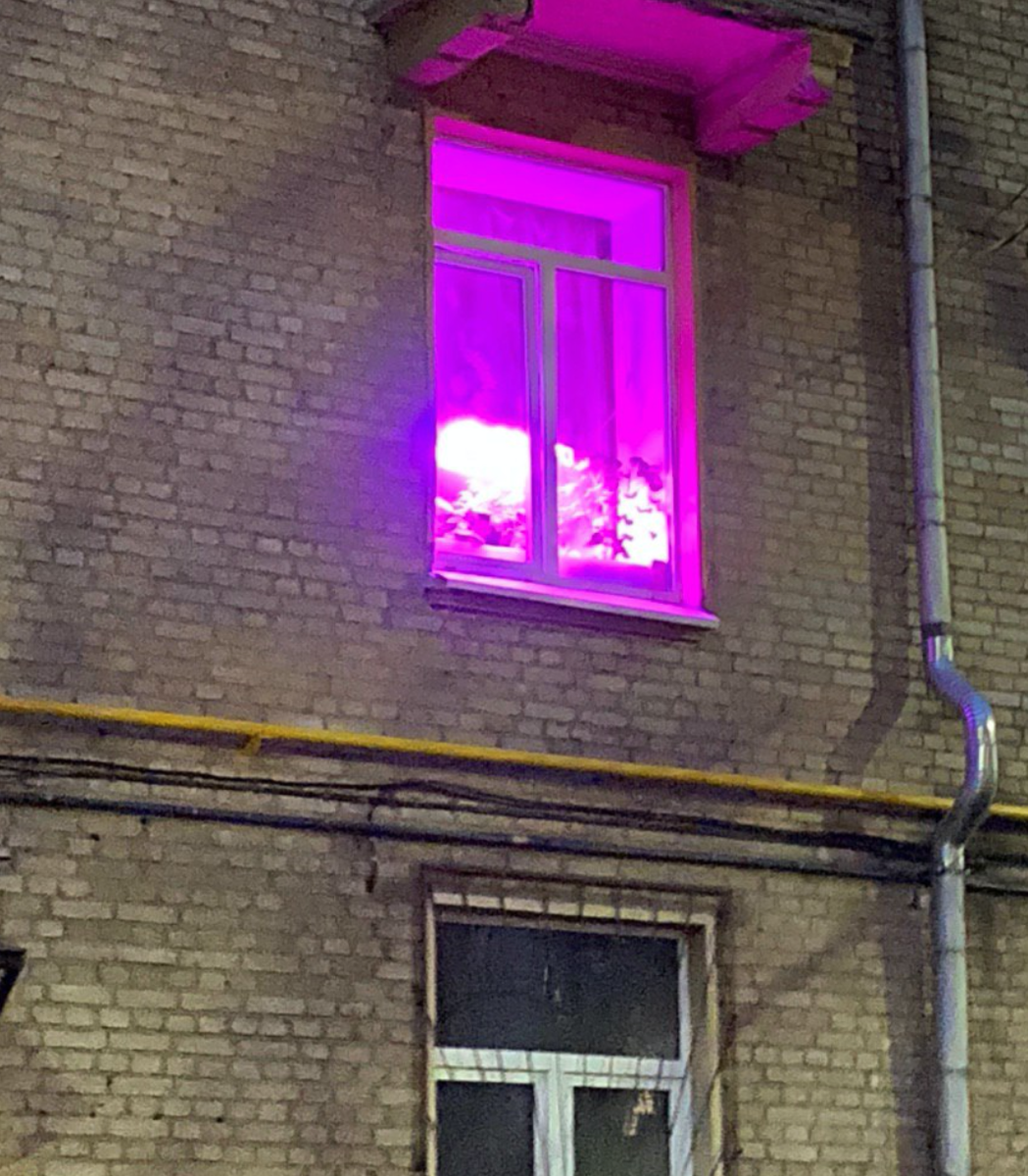 Розовая подсветка в окнах. Розовые окна в домах. Розовые лампы в окнах. Фиолетовые окна в домах. Розовый свет в окнах жилых