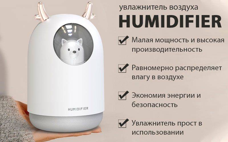 Вред и польза увлажнителя воздуха: влияние на здоровье и мнение врачей, рекомендации