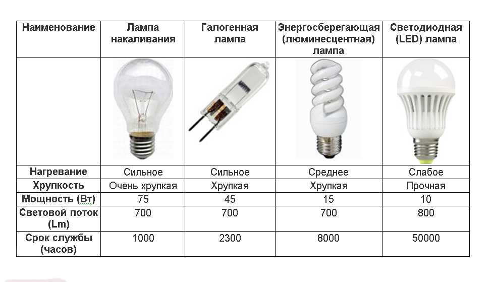 Виды лампочек освещения для дома. сравнение и характеристики.