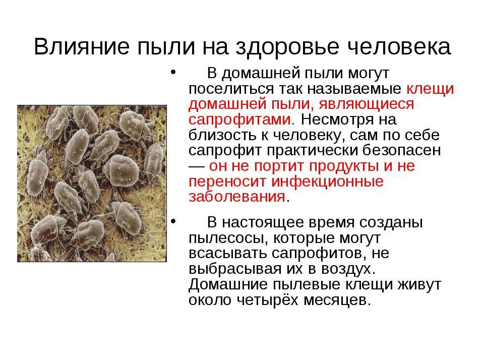 Лечение аллергии на домашнюю пыль, что делать, если у ребёнка аллергия на домашнюю пыль, как она проявляется, симптомы