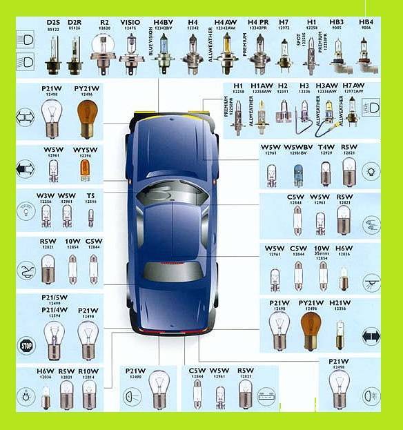 Разновидности автомобильных ламп