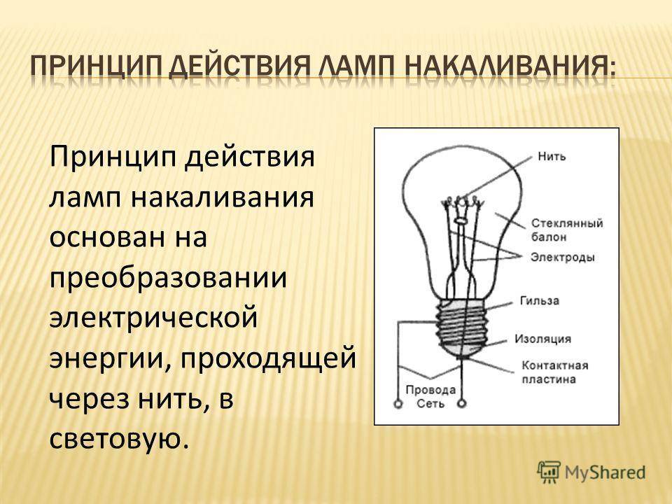 На каком рисунке лампочка действует как условный раздражитель