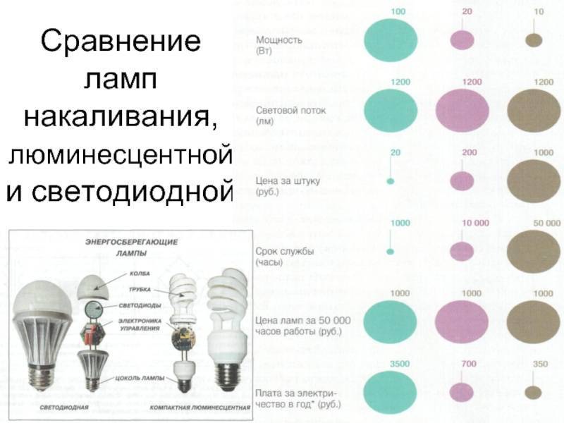 Как выбрать галогеновые лампы для дома (виды, преимущества и недостатки)