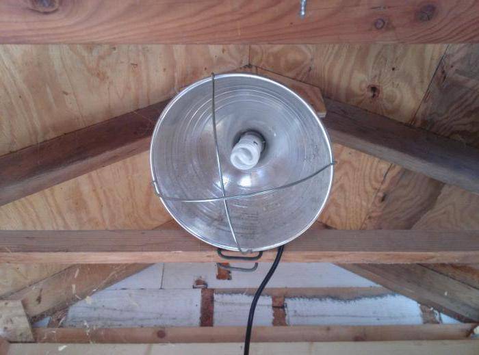 Лампы для обогрева курятника зимой — как дешево утеплить помещение для птицы