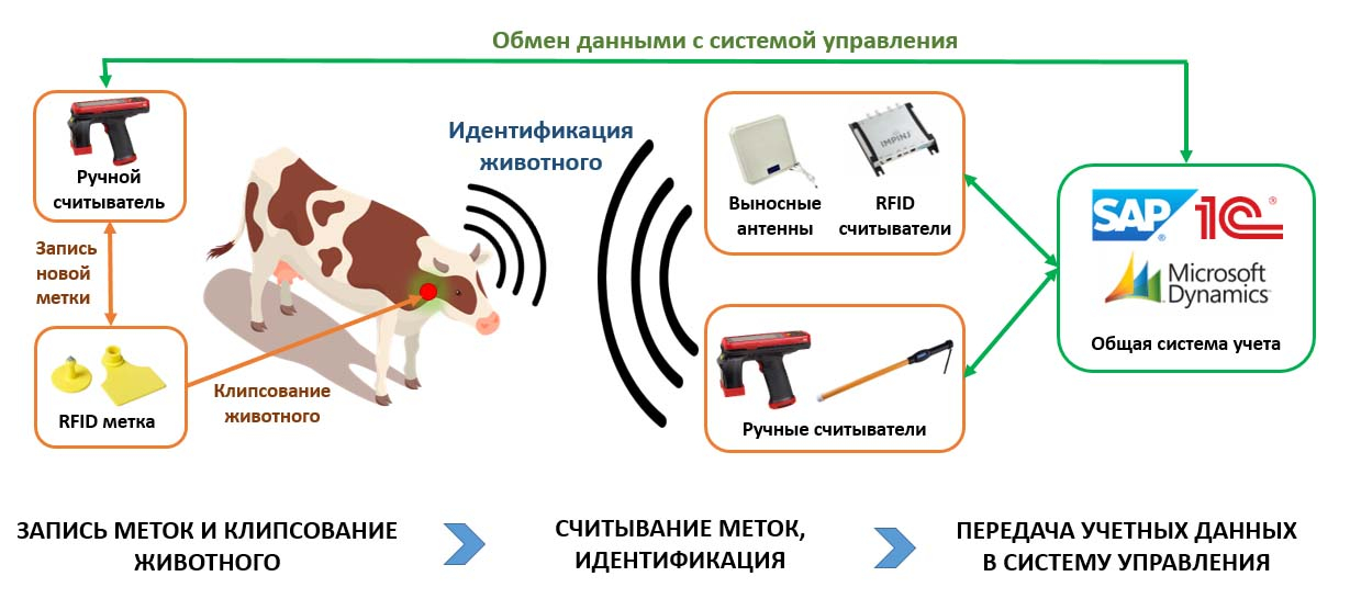 Что такое метки rfid и как они работают