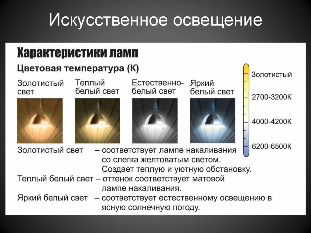 Что лучше: теплый или холодный свет - 1posvetu.ru
