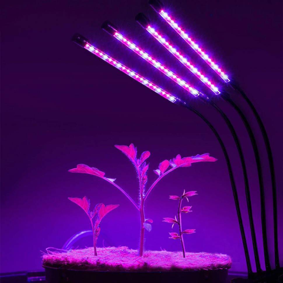 Все о фитолампах - светодиодные лампы для растений