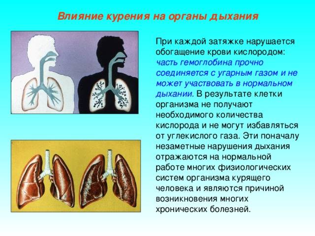 Озонатор воздуха: вред или польза для организма человека