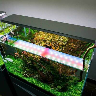 Как организовать светодиодную подсветку аквариума