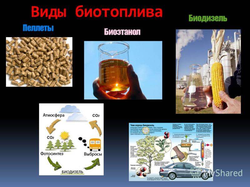 Виды биотоплива: сравнение характеристик твердого, жидкого и газообразного топлива. биотопливо — новая старая отрасль в энергетике