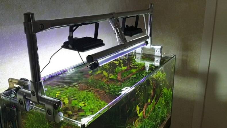 Лампа для аквариума: расчет мощности подсветки для рыб и растений