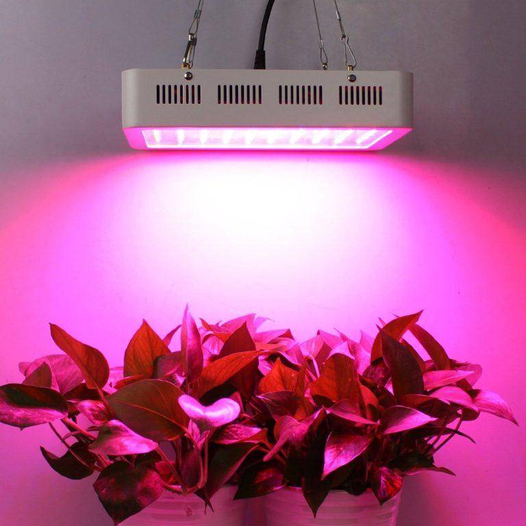 Правильная фитолампа — выбираем осветительный прибор для досветки растений. технические характеристики. фото — ботаничка