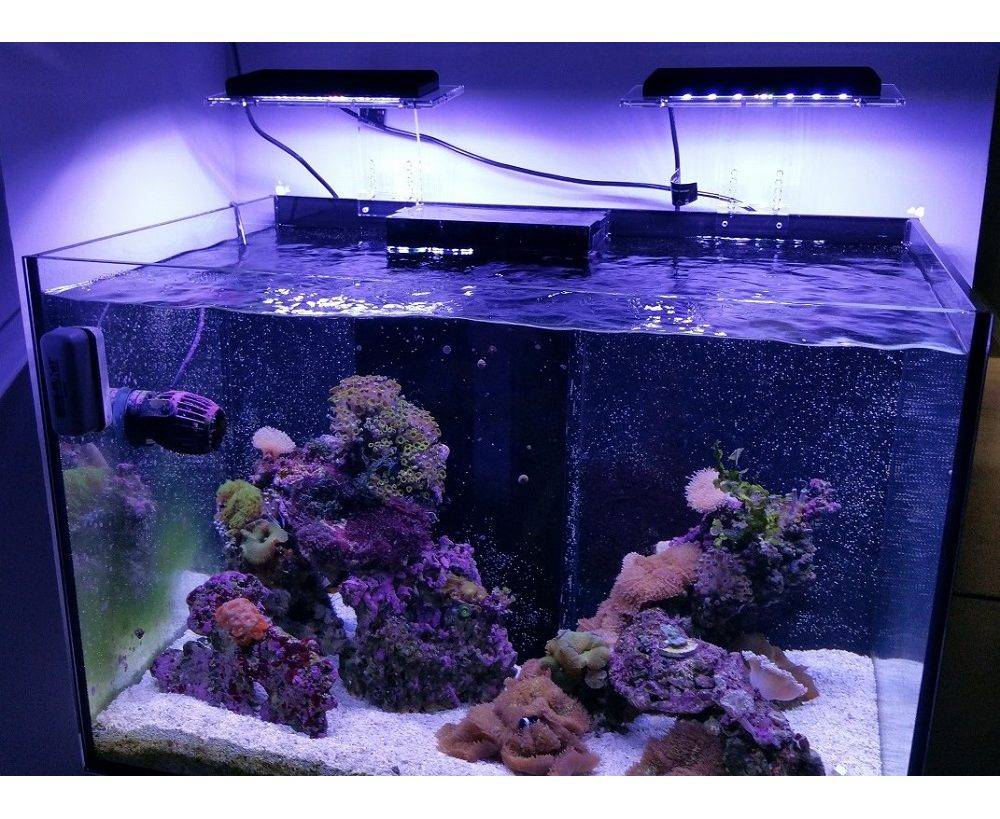 3 варианта крышки для аквариума - освещение светодиодными, люминесцентными лампами и led лентой.