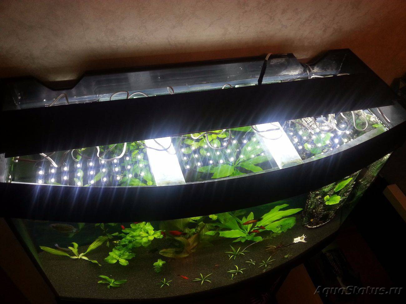 Как сделать led подсветку для аквариума своими руками — ribnydom.ru