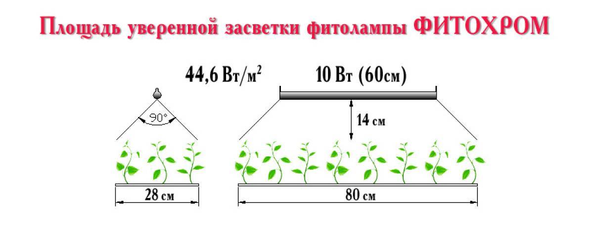 Как выбрать фитолампу для рассады и растений - расчет мощности, высота подвеса, выбор спектра.