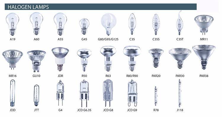 Типы и виды цоколей ламп освещения
