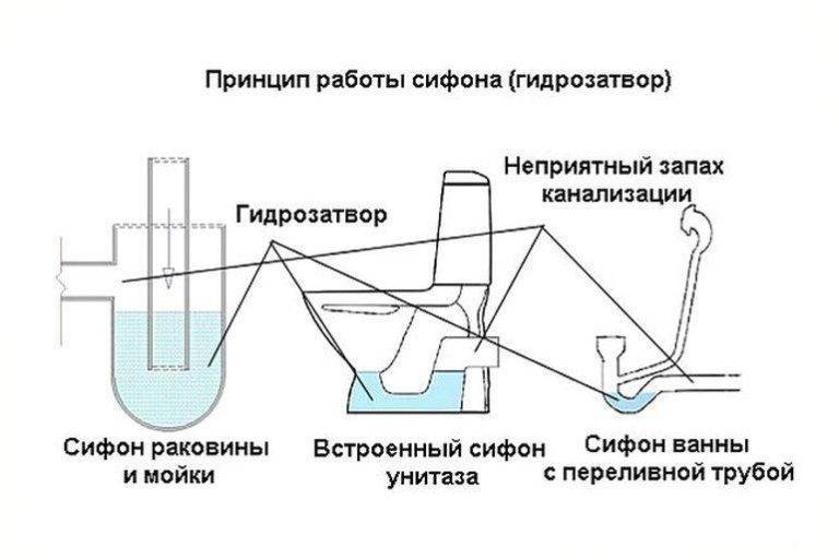Запах канализации в ванной: причины и их устранение | ремонт и дизайн ванной комнаты