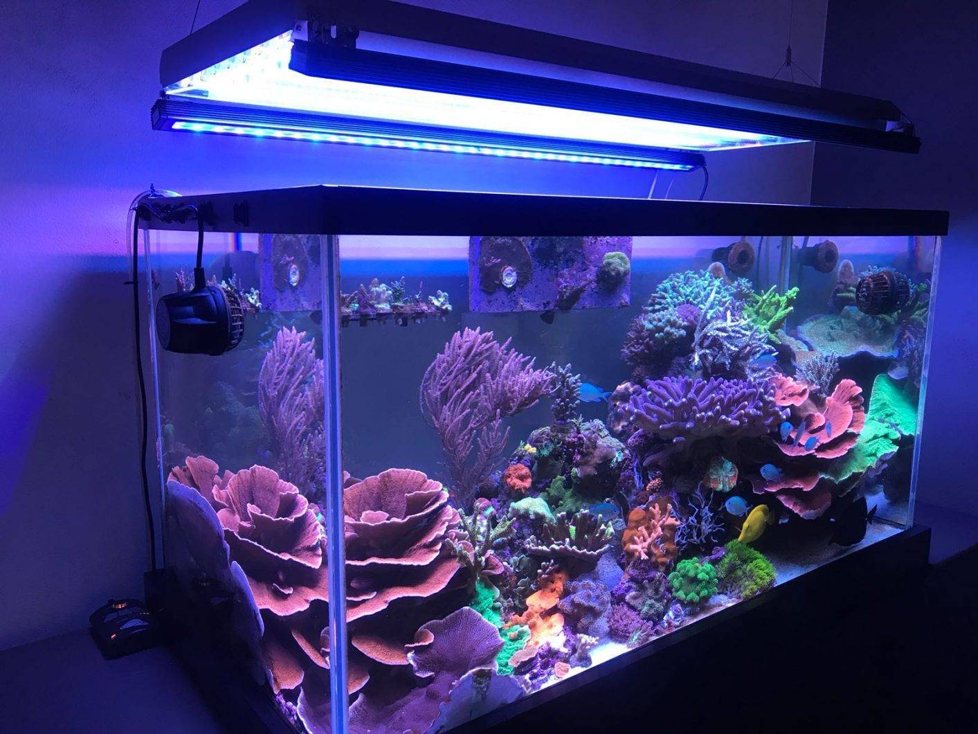 Светодиодное освещение для аквариума своими руками