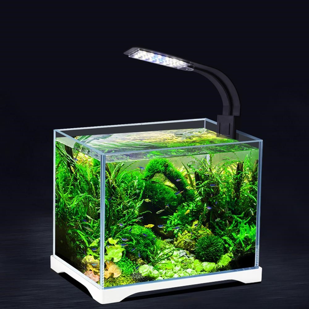 Лампы для аквариума: разновидности и как правильно выбрать