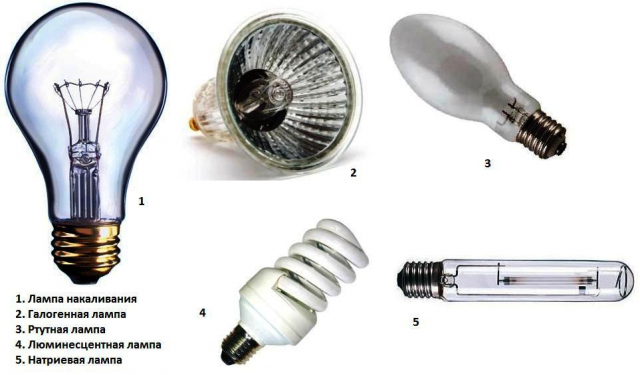 Ремонт люминесцентных светильников (дневного света): разборка лампы