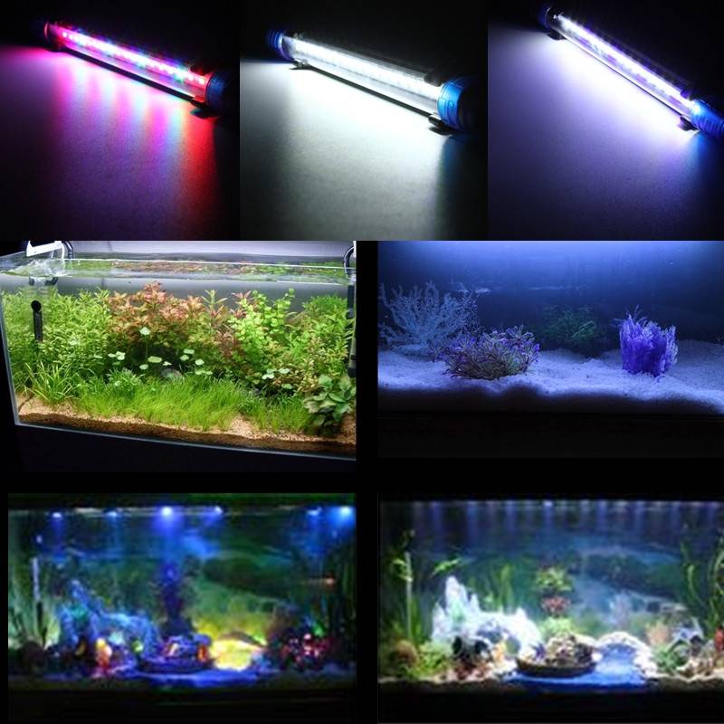 Виды ламп для аквариумного освещения • блог аквариумиста аква-ас