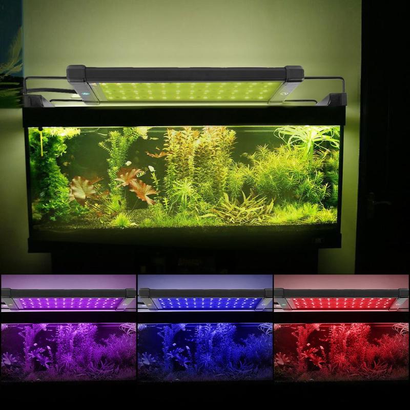 Освещение аквариума светодиодными лампами: как выбрать лампу на крышку